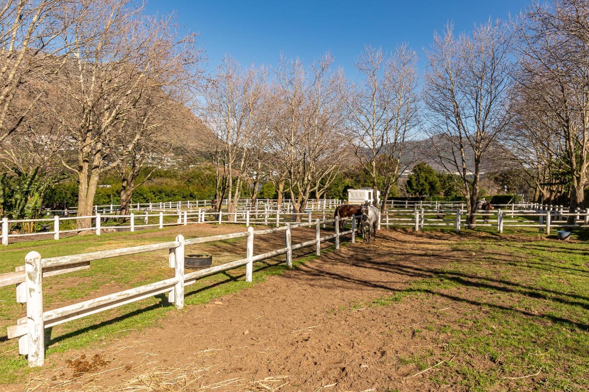 Novelle Vista Cottage Hout Bay Exterior foto
